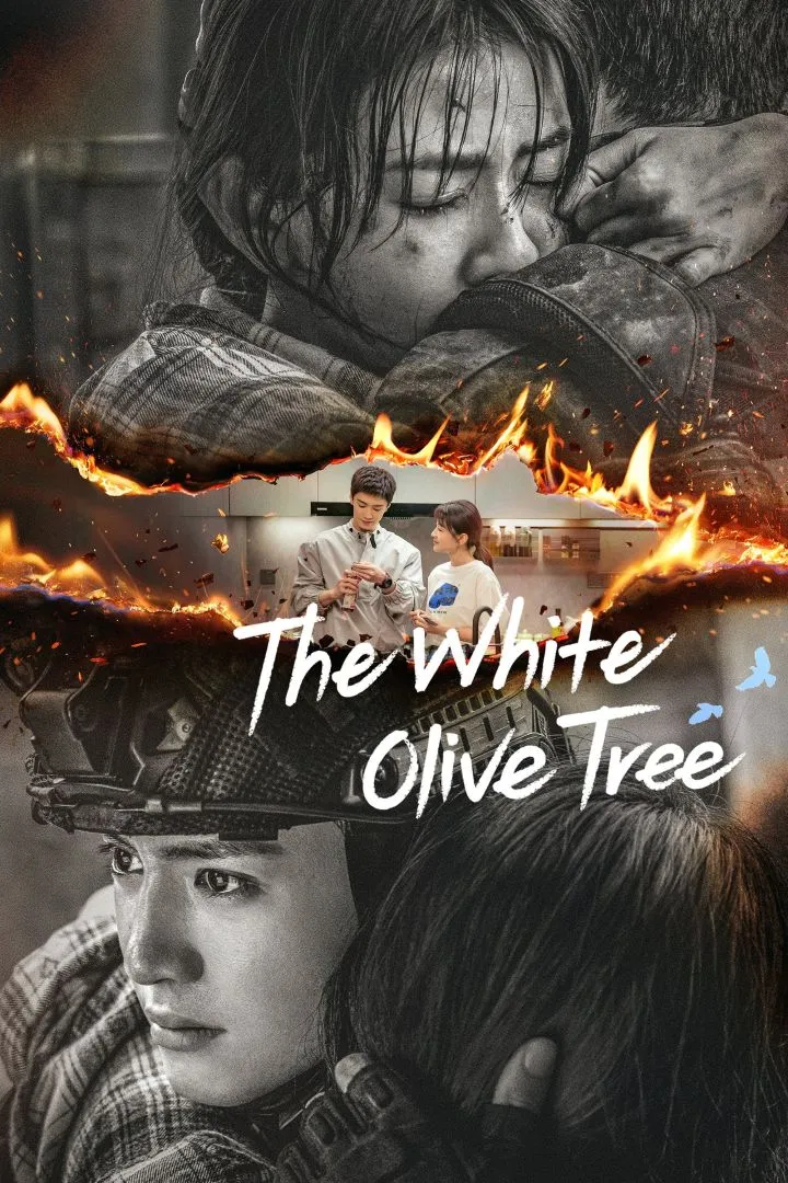 The White Olive Tree | Chinese Drama